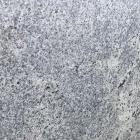 Kashmir White